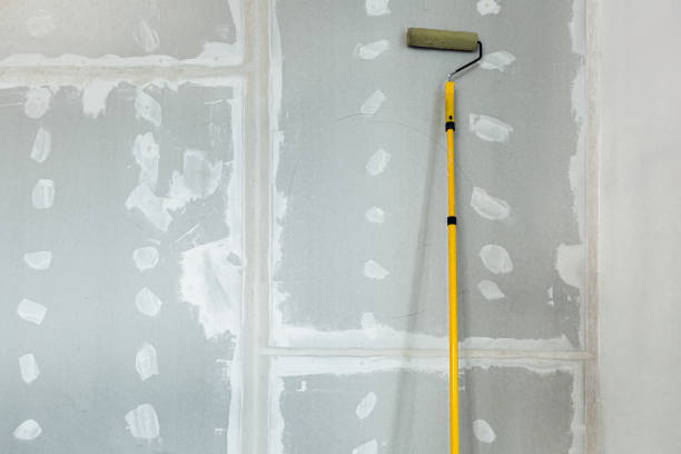 Best Mold Odor Removal Services  in Mickleton, NJ
