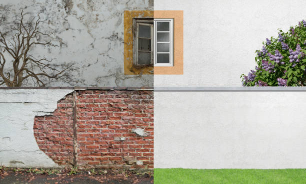 Best Basement Mold Removal  in Mickleton, NJ
