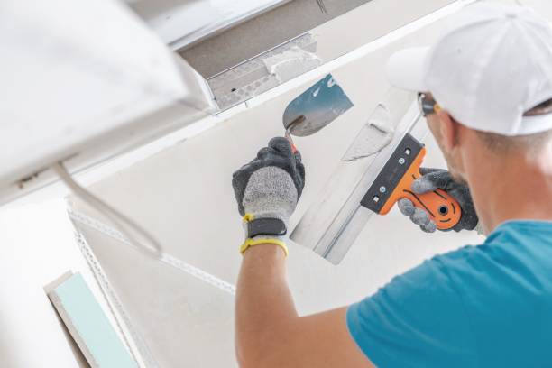 Best Air Quality Testing for Mold Spores  in Mickleton, NJ